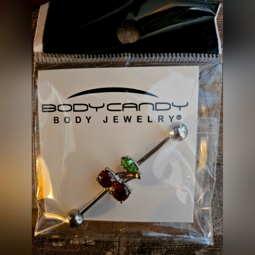 Body Candy Industrial Barbell